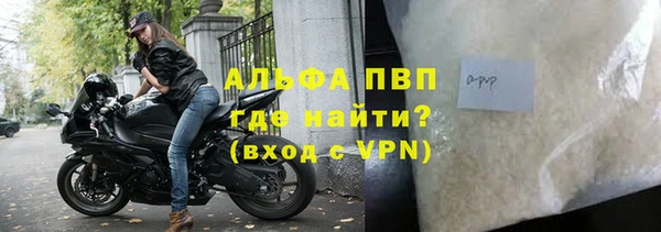 гидра Надым