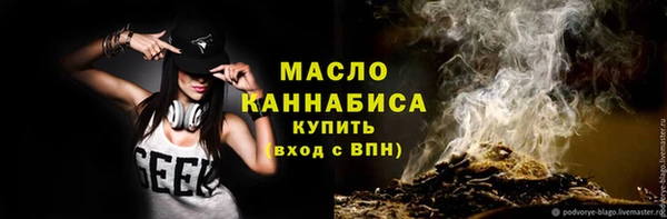 гидра Надым
