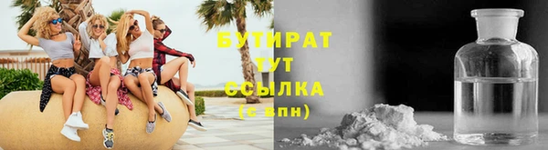 гидра Надым