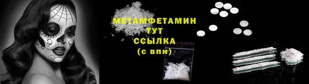 гидра Надым