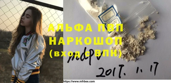 гидра Надым