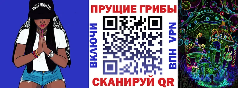 как найти закладки  мега как зайти  Псилоцибиновые грибы MAGIC MUSHROOMS  Невельск 
